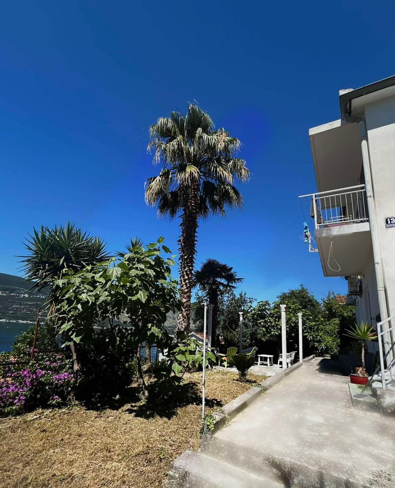 Apartments Maya Herceg Novi Exterior foto