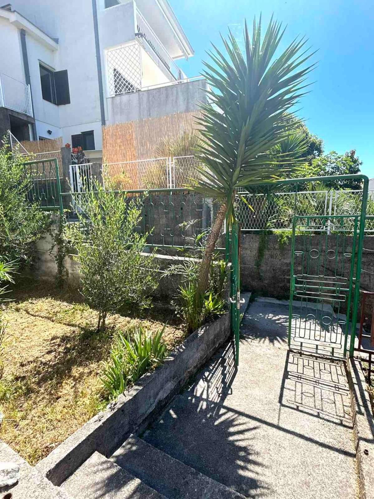 Apartments Maya Herceg Novi Exterior foto